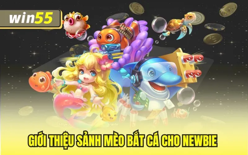 Giới thiệu sảnh mèo bắt cá cho newbie