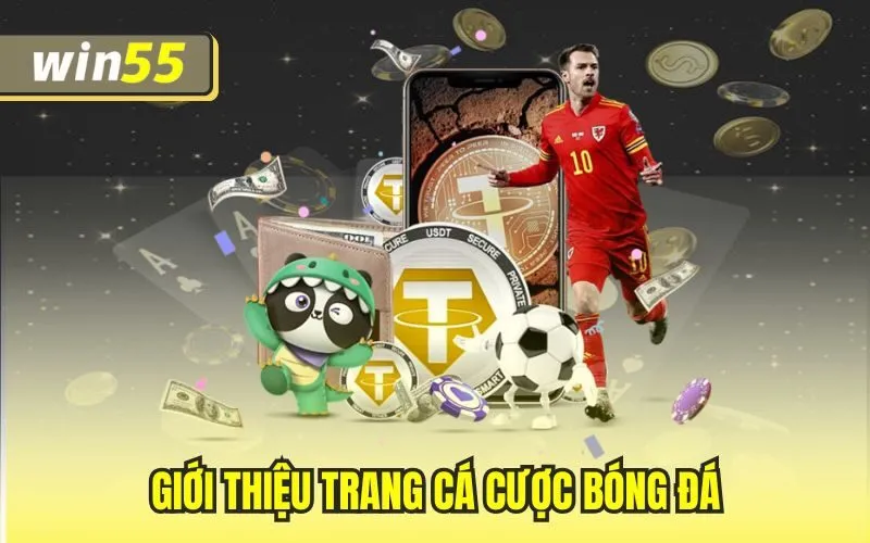 Giới thiệu trang cá cược bóng đá