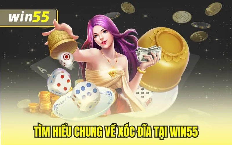 Tìm hiểu chung về xóc đĩa tại Win55