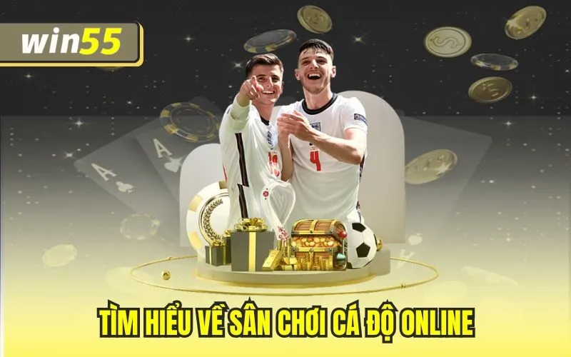 Tìm hiểu về sân chơi cá độ online